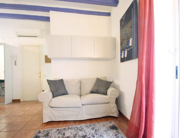 Ocells apartment